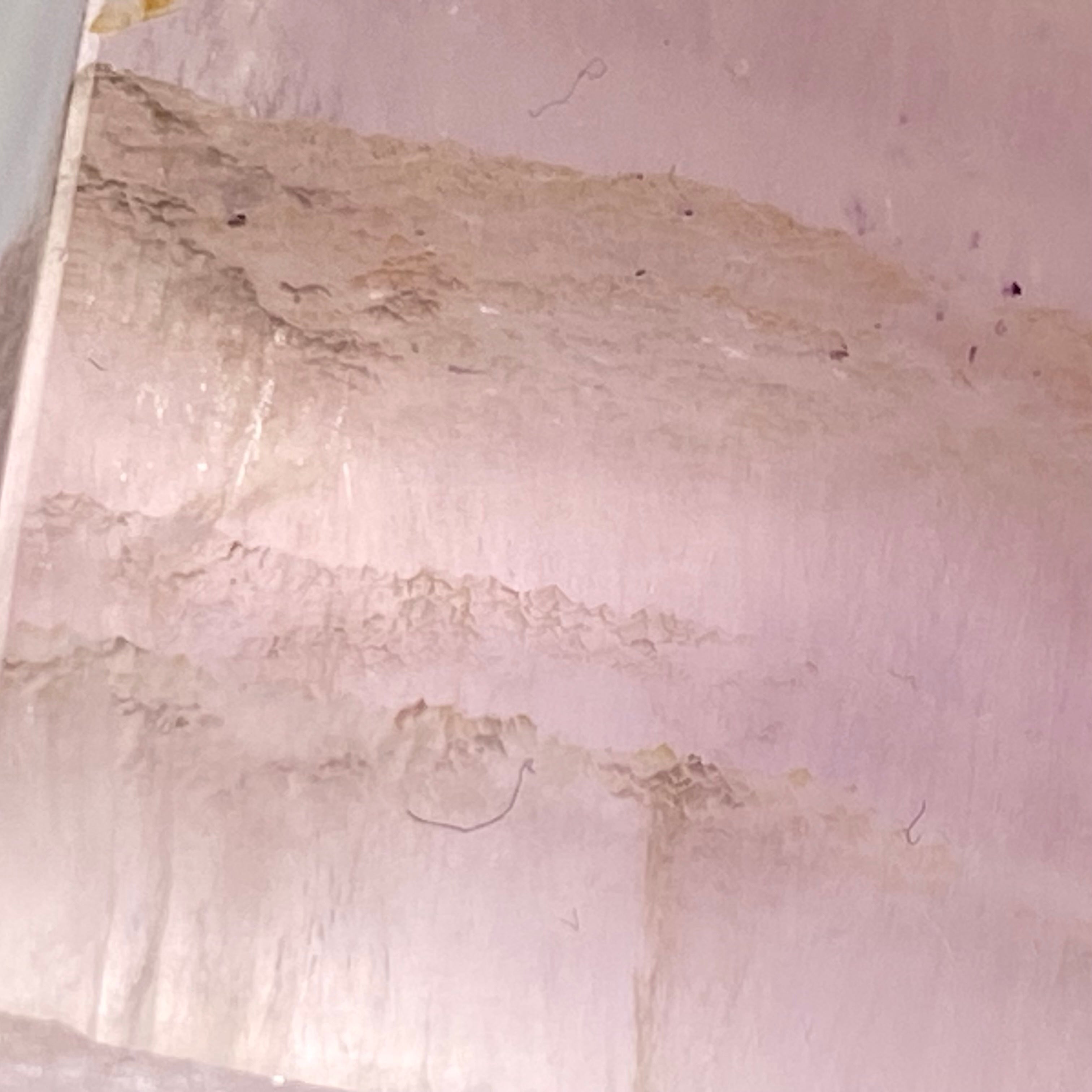 紫螢石柱 | 冥想淨化、靈修療癒