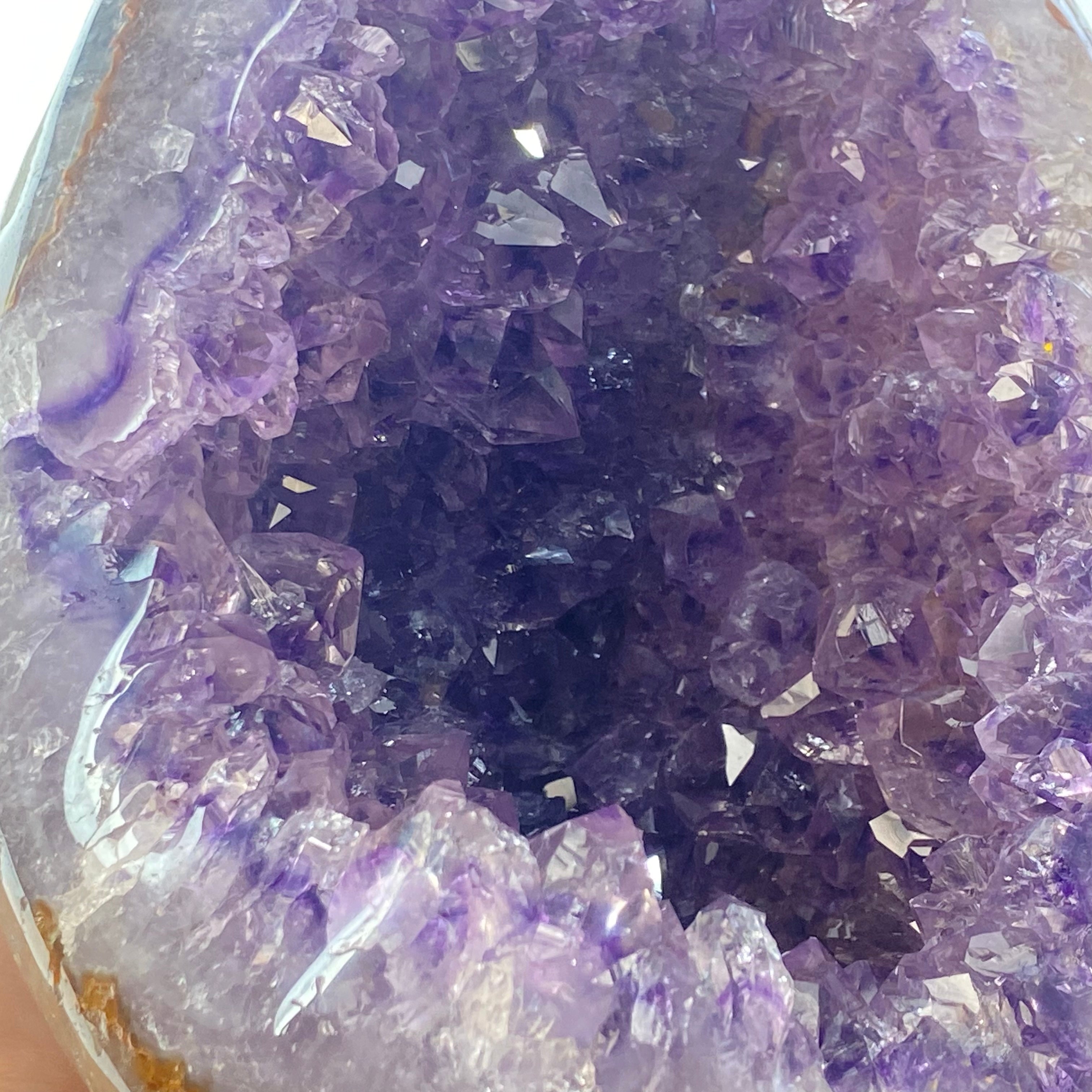 天然金黃瑪瑙包邊紫晶簇錢袋子